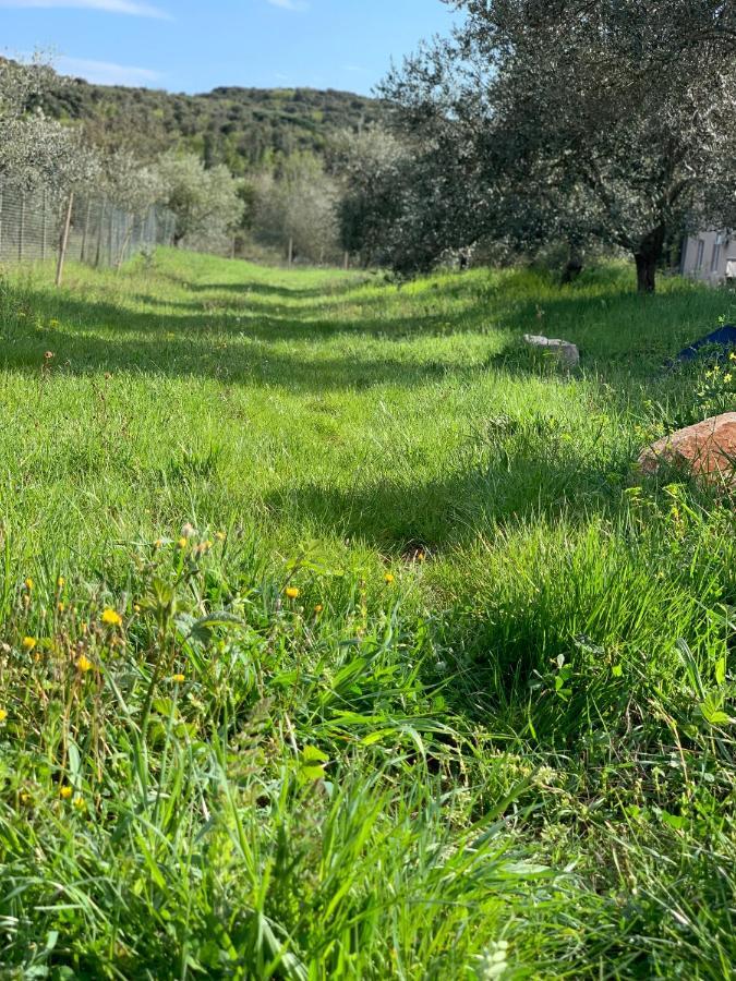Il Giardino Degli Ulivi Hotell Rovinj Eksteriør bilde