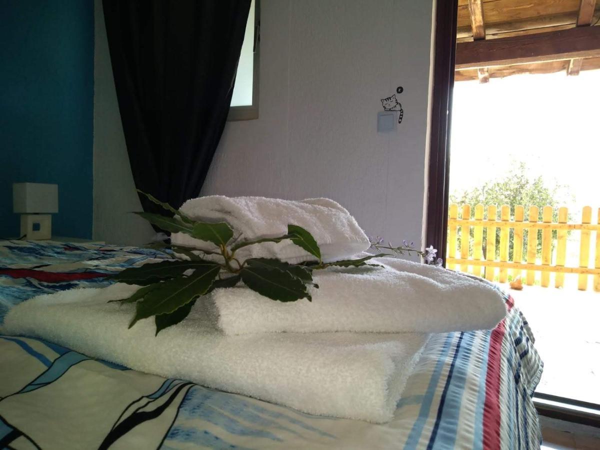 Il Giardino Degli Ulivi Hotell Rovinj Eksteriør bilde
